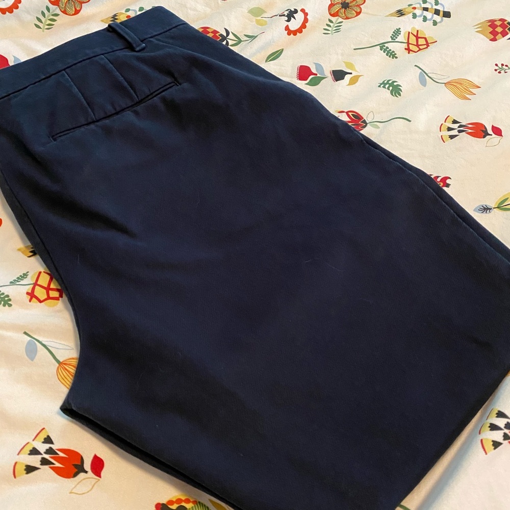 Ann Taylor Curvy Fit Ankle Pants